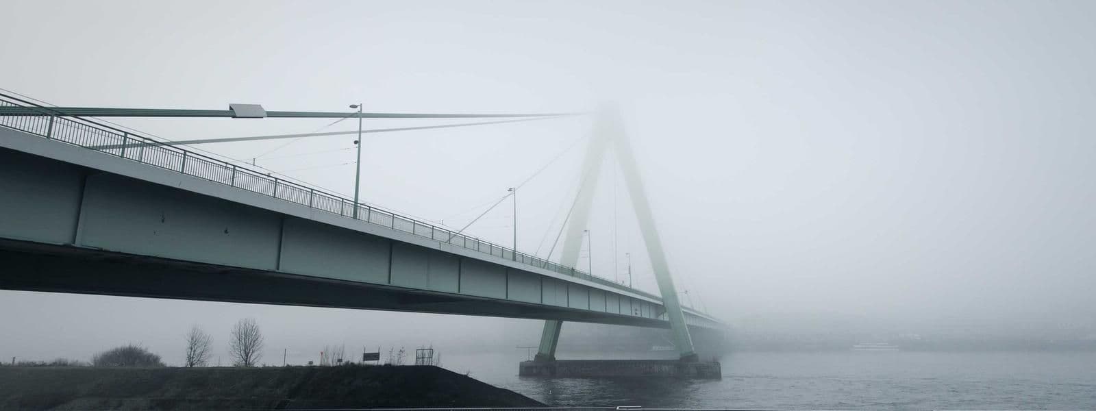 Portada de Ana Lucía Terrazas