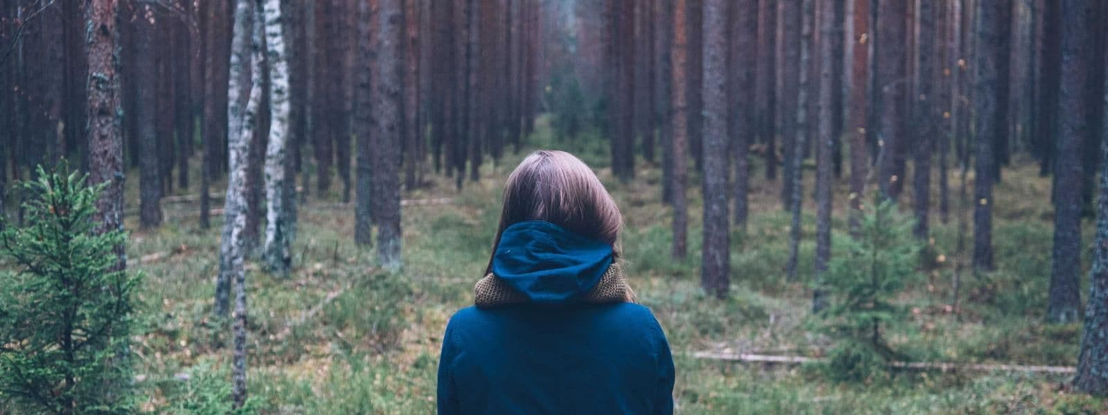 Portada de Andrés Vargas Sánchez