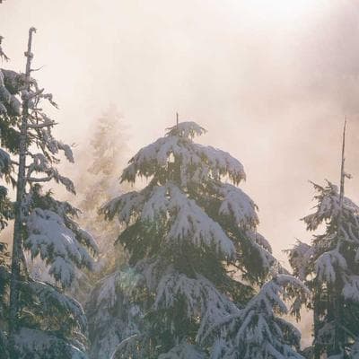 Foto de Diego Zambrana Quiroga