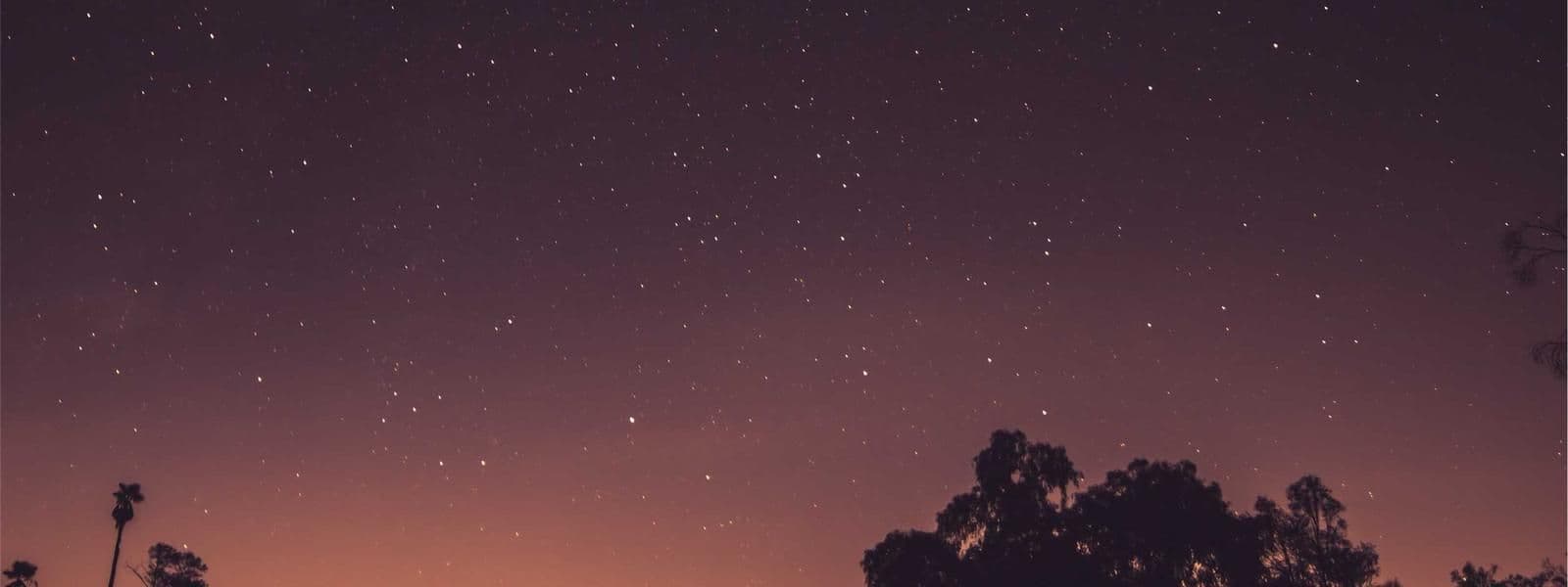 Portada de Espacio Semilla