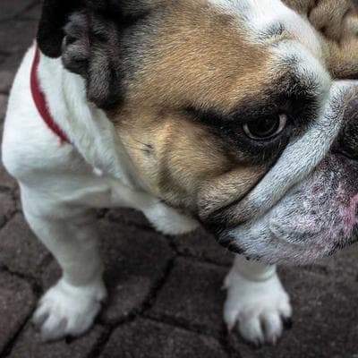 Foto de Espacio Semilla