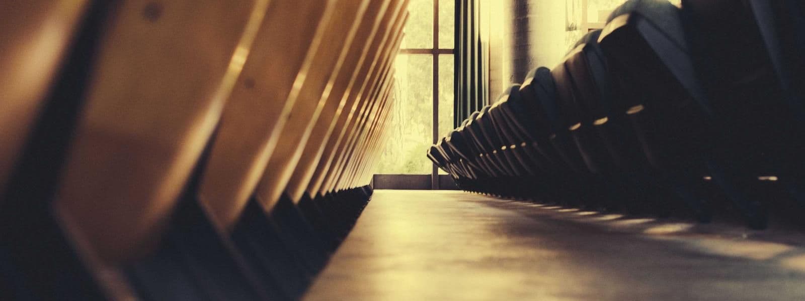 Portada de Estudio Raíces