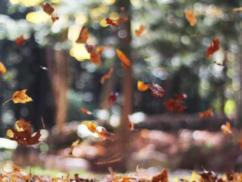 Espacio de práctica