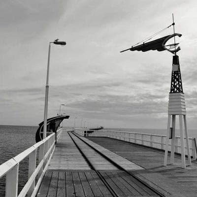 Foto de Gabriela Montaño Cruz