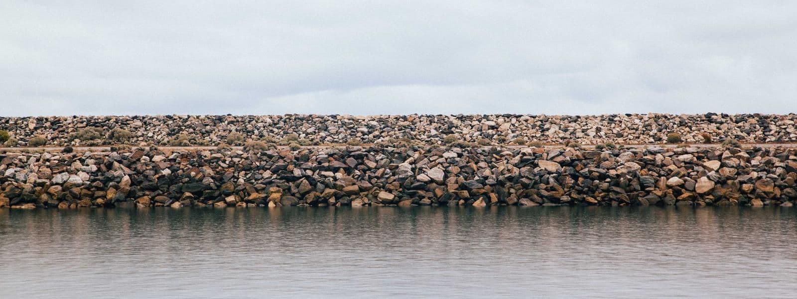 Portada de Isabel Rojas Mercado