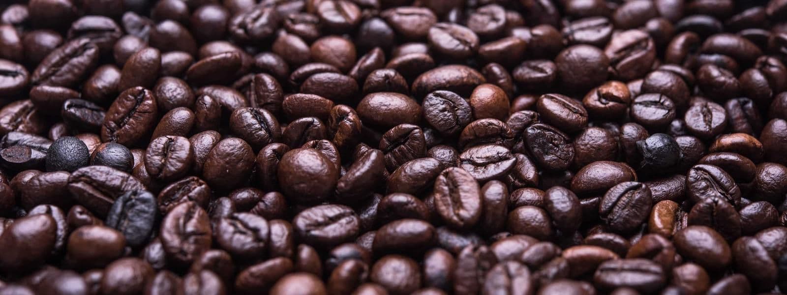 Portada de Juan Pablo Estrada