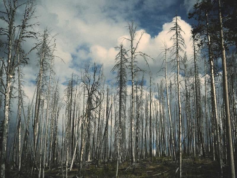 Espacio de práctica