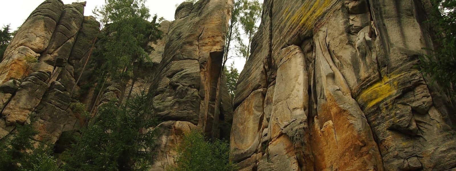 Portada de Mandala Studio