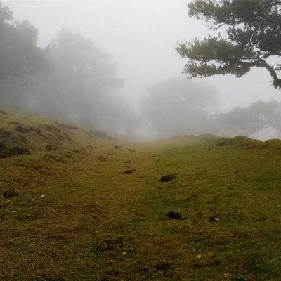 Patricia Ríos de Guzmán