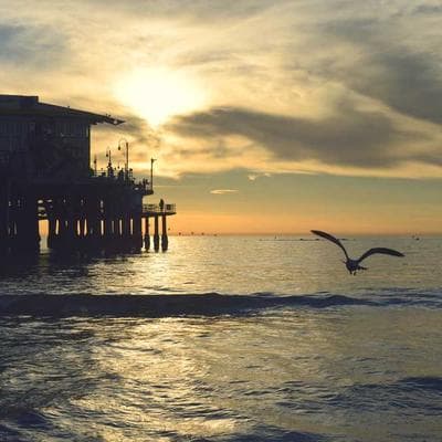 Foto de Sofía Antezana Morales