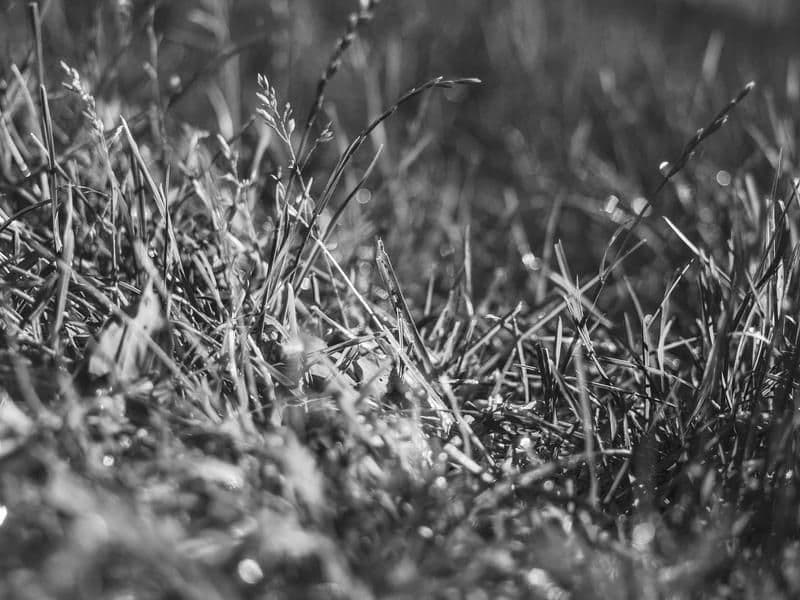 Espacio de práctica