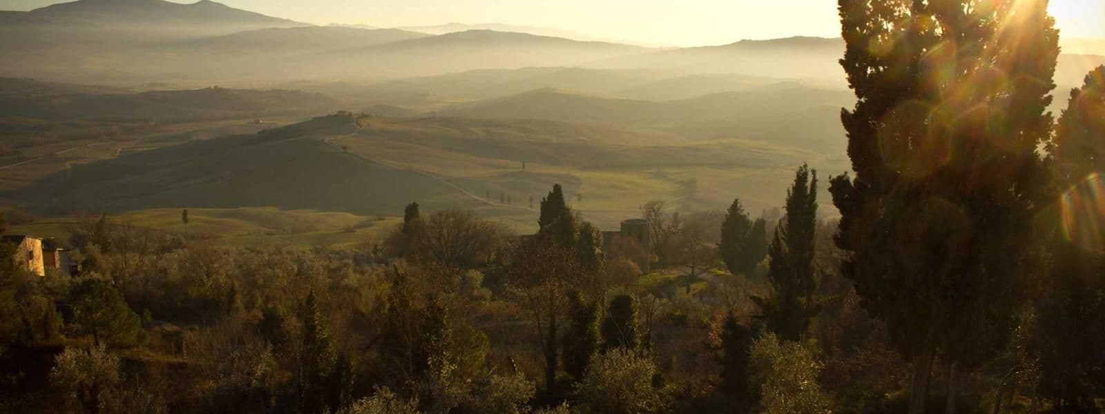 Portada de Fundación Bienestar Bolivia