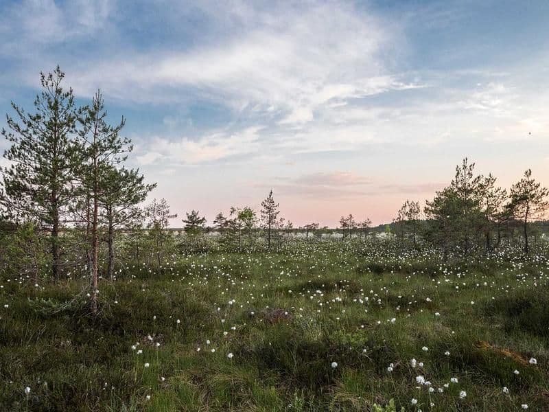 Espacio de práctica