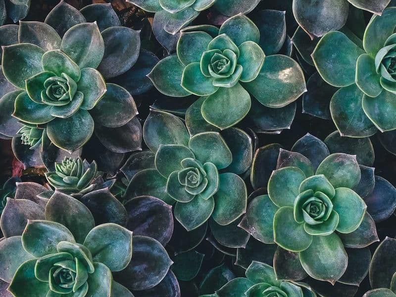 Espacio de práctica