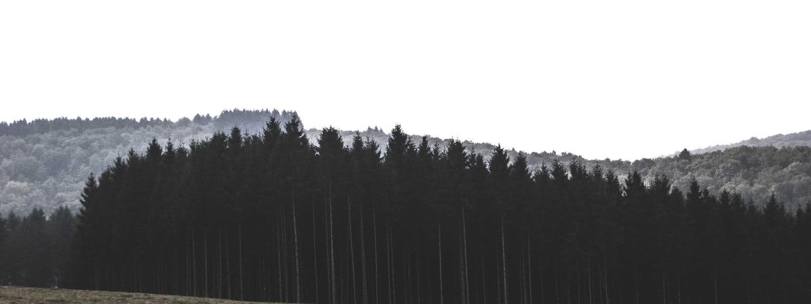 Portada de Natalia Gutiérrez Flores