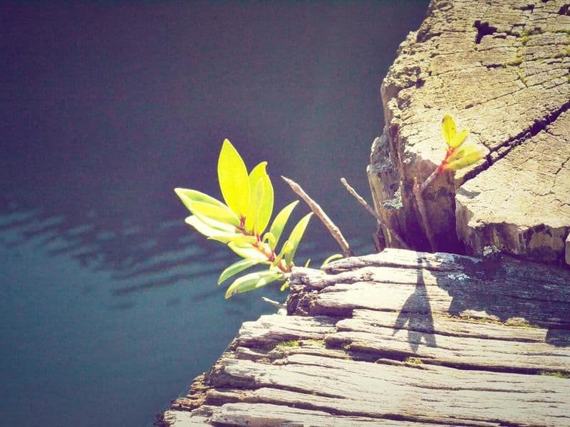 Espacio de práctica